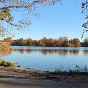 Meet your Posher, Riana